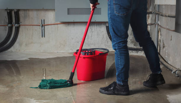 Best Residential water damage restoration  in Swissvale, PA