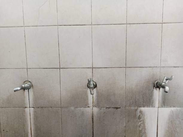 Best Water damage restoration near me  in Swissvale, PA