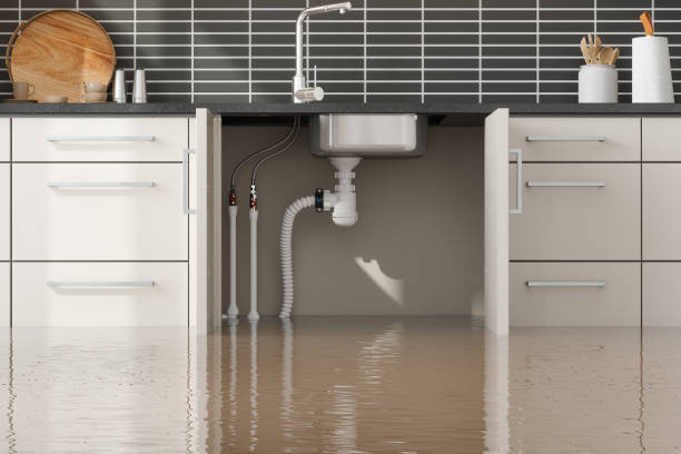 Best Mold removal after water damage  in Swissvale, PA