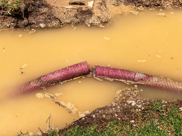 Best Water damage contractors near me  in Swissvale, PA