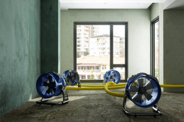 Best Water damage restoration near me  in Swissvale, PA