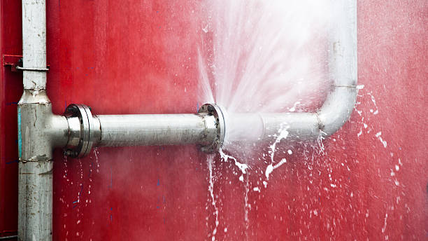 Best Basement water damage restoration  in Swissvale, PA